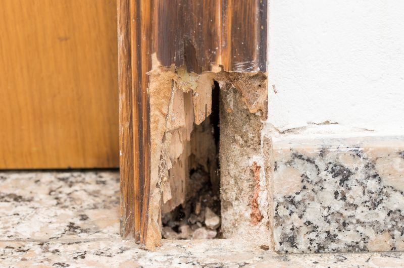 Damaged Framing Replacement