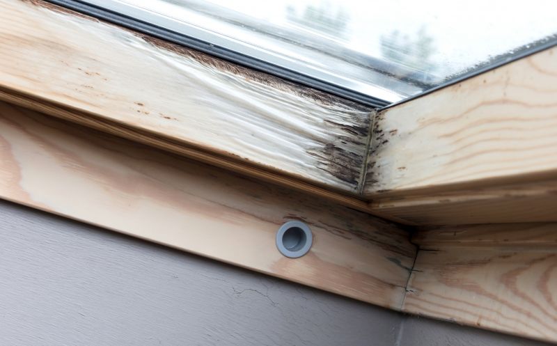 Damaged Framing Replacement