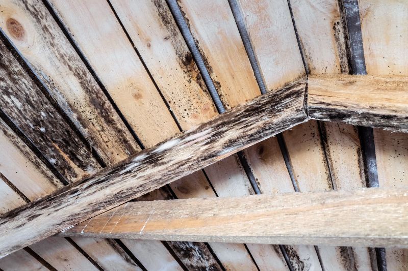 Joist Repair Service
