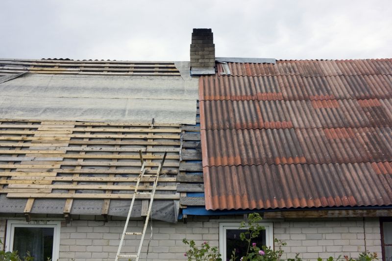 Roof Framing Repair